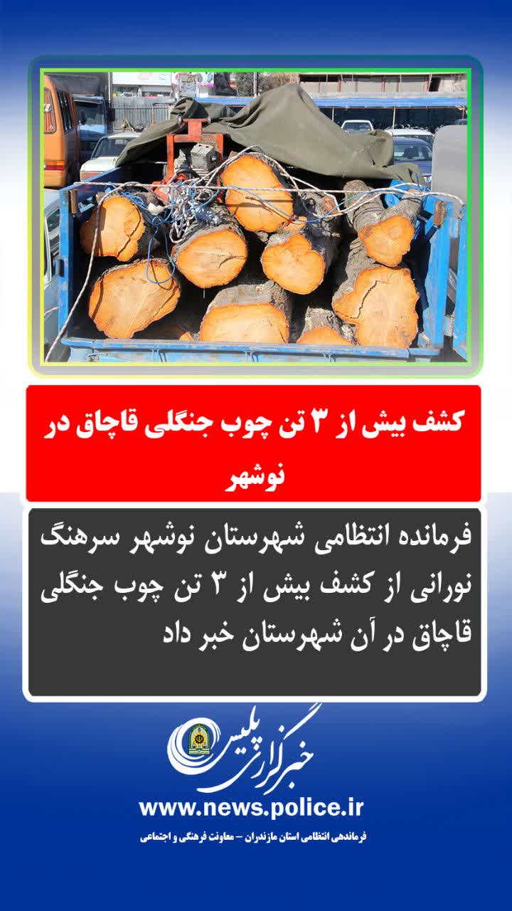 تصویر شاخص